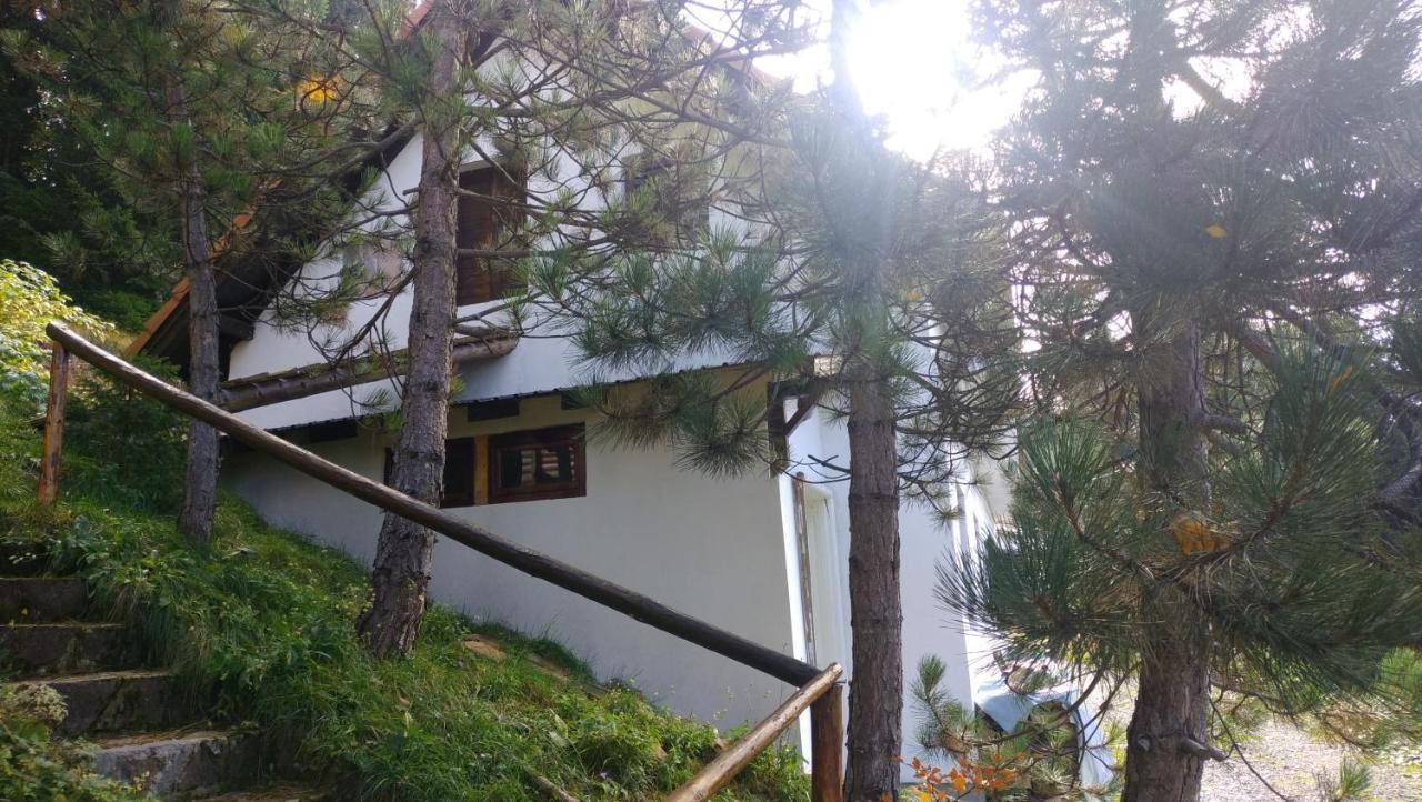 ホテル Uki & Sofi Mountain House コパオニク エクステリア 写真
