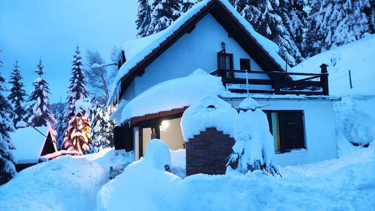 ホテル Uki & Sofi Mountain House コパオニク エクステリア 写真