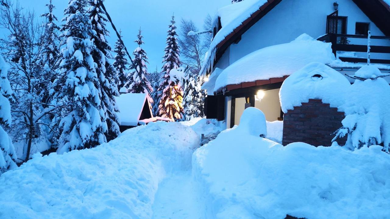 ホテル Uki & Sofi Mountain House コパオニク エクステリア 写真