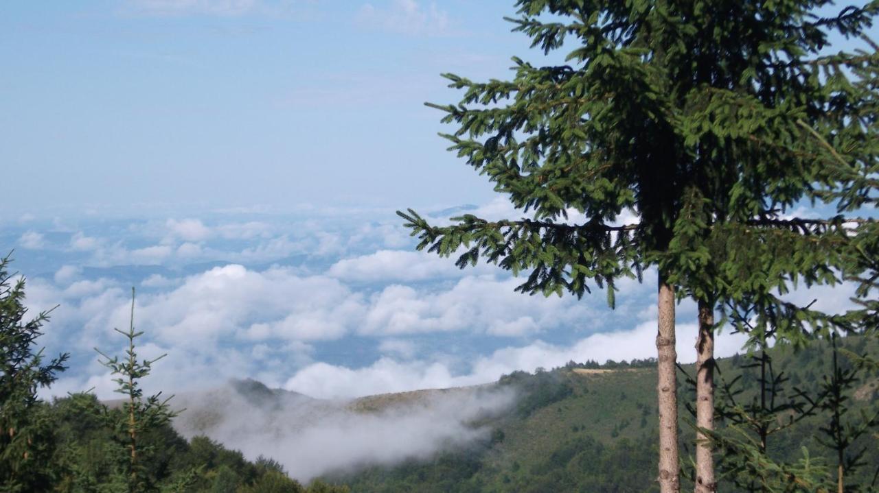 ホテル Uki & Sofi Mountain House コパオニク エクステリア 写真